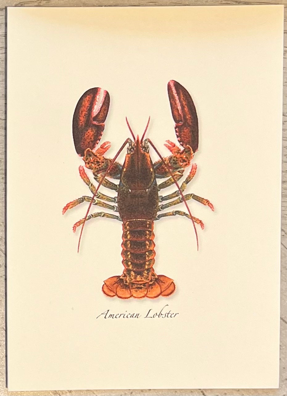 Artisan-Crafted Ceramic Lobster Tray, S, Turquoise - w/Card Personally Autographed to YOU by Mark