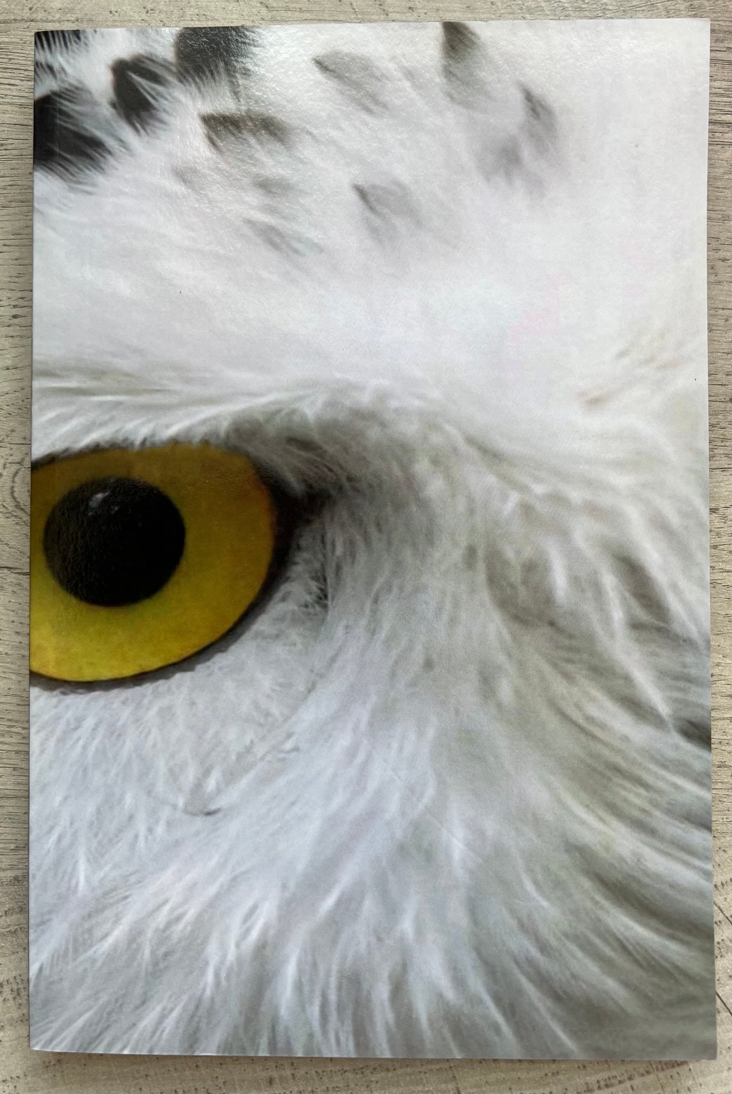 Snowy Owl Journal/Diary - Personally Autographed to YOU by Mark