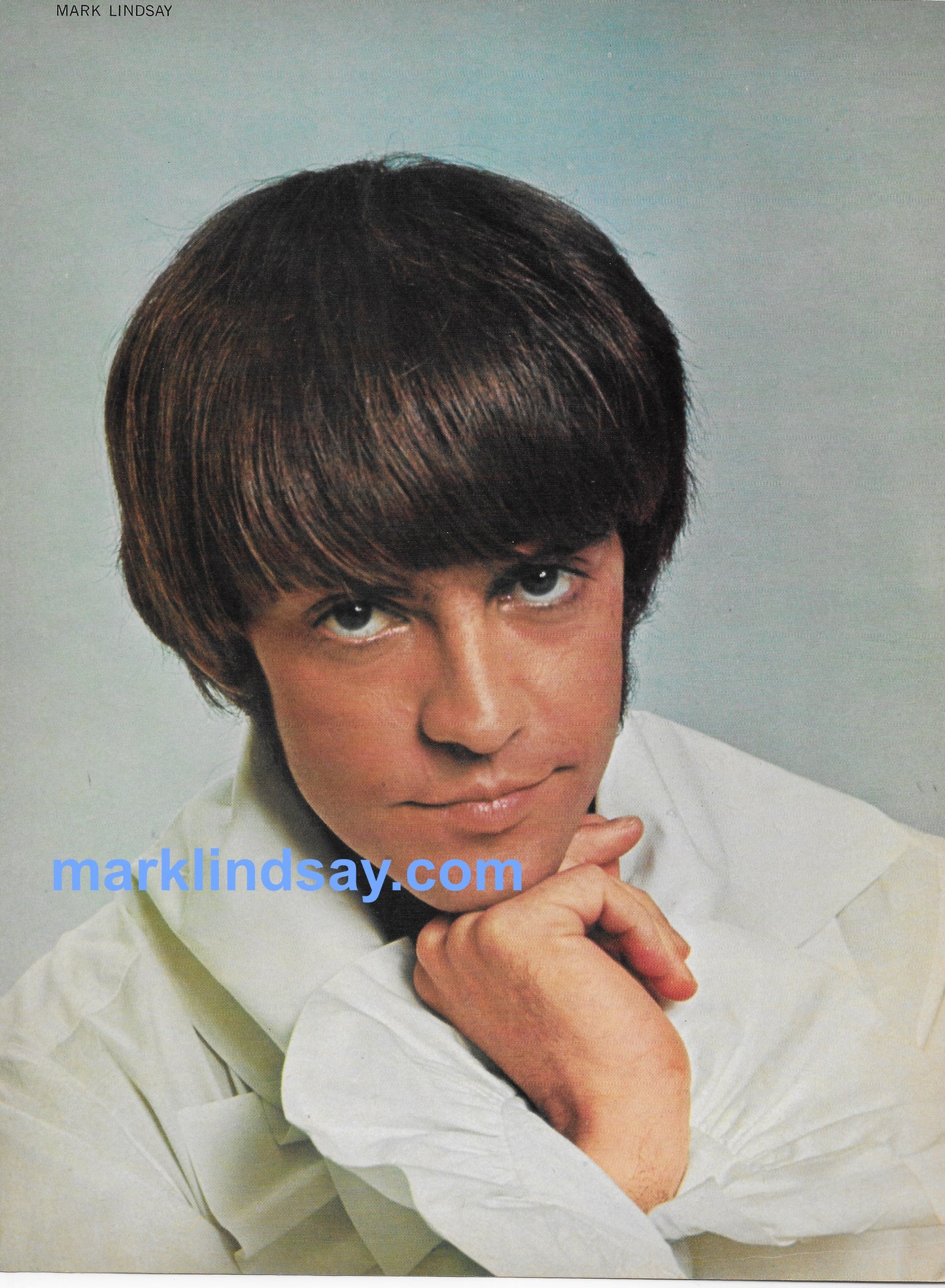 Mark Lindsay Vintage Pin-Up Circa 1967 - Personally Autographed to YOU by Mark