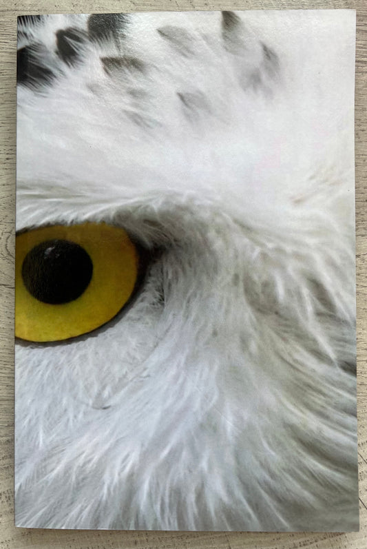 Snowy Owl Journal/Diary -  Personally Autographed to YOU by Mark