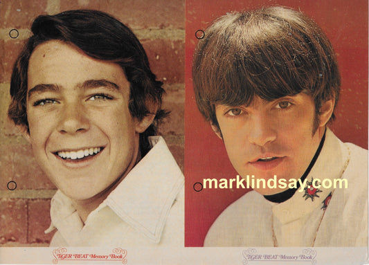 Mark Lindsay Vintage Pin-Up/Bio - Tiger Beat Magazine - Personally Autographed to YOU by Mark