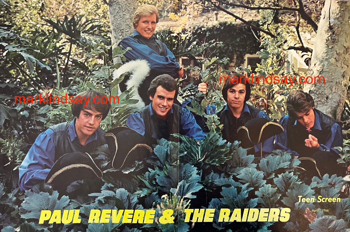 Revere Raiders Vintage Centerfold and 2 Backing Photos - Teen Screen Magazine 1966 - Personally Autographed to YOU by Mark